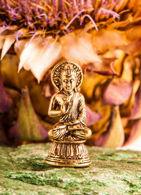 Segnender Buddha - Das Raeucherwerk